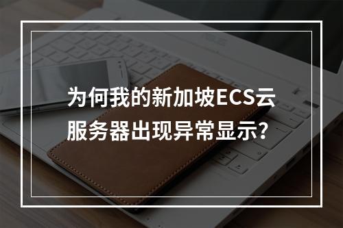 为何我的新加坡ECS云服务器出现异常显示?