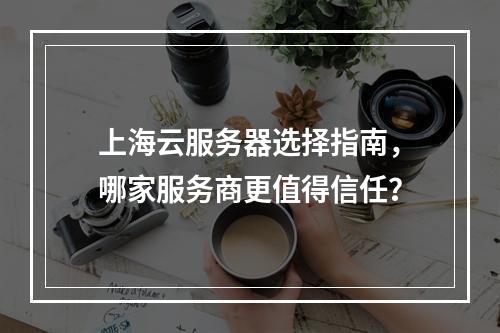 上海云服务器选择指南,哪家服务商更值得信任?