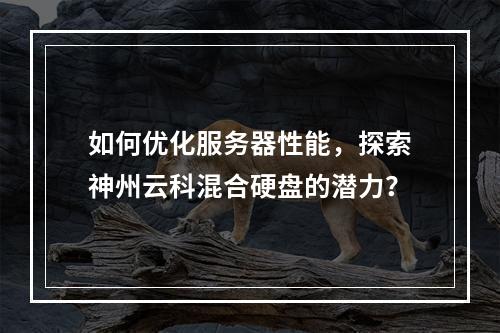如何优化服务器性能,探索神州云科混合硬盘的潜力?