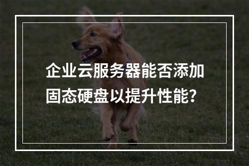 企业云服务器能否添加固态硬盘以提升性能?