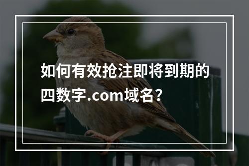 如何有效抢注即将到期的四数字.com域名?