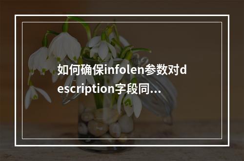 如何确保infolen参数对description字段同样生效?