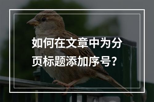 如何在文章中为分页标题添加序号?
