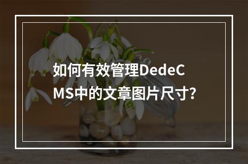 如何有效管理DedeCMS中的文章图片尺寸?