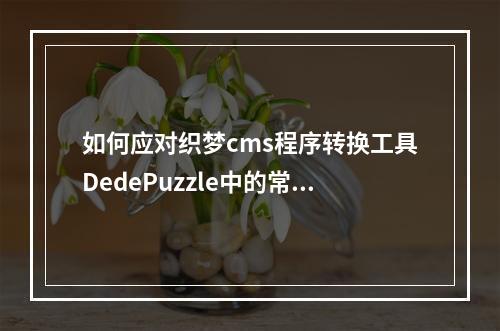 如何应对织梦cms程序转换工具DedePuzzle中的常见问题?