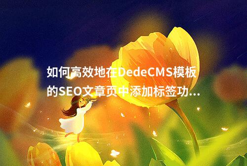 如何高效地在DedeCMS模板的SEO文章页中添加标签功能?