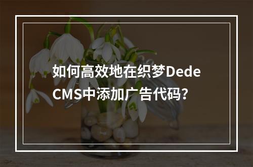 如何高效地在织梦DedeCMS中添加广告代码?