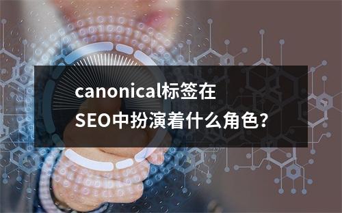 canonical标签在SEO中扮演着什么角色?
