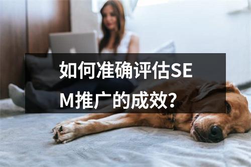 如何准确评估SEM推广的成效?