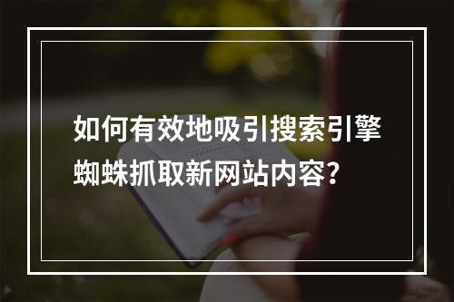 如何有效地吸引搜索引擎蜘蛛抓取新网站内容?