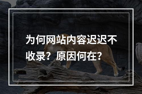 为何网站内容迟迟不收录?原因何在?