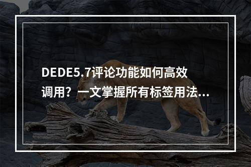 DEDE5.7评论功能如何高效调用?一文掌握所有标签用法!