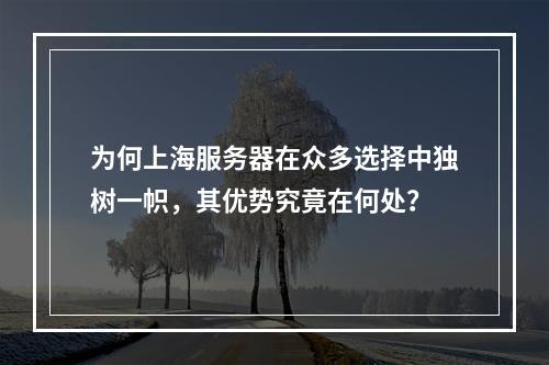 为何上海服务器在众多选择中独树一帜,其优势究竟在何处?