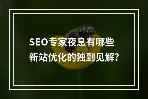SEO专家夜息有哪些新站优化的独到见解?