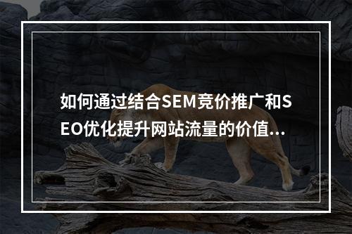 如何通过结合SEM竞价推广和SEO优化提升网站流量的价值?