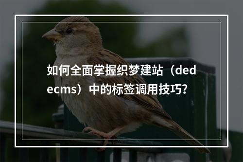如何全面掌握织梦建站(dedecms)中的标签调用技巧?