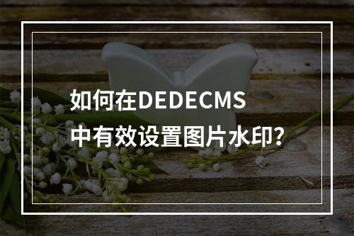 如何在DEDECMS中有效设置图片水印?