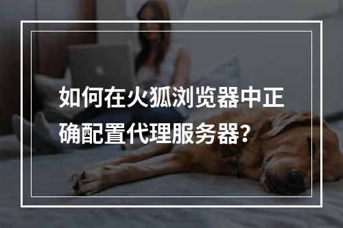 如何在火狐浏览器中正确配置代理服务器?