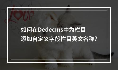 如何在Dedecms中为栏目添加自定义字段栏目英文名称?