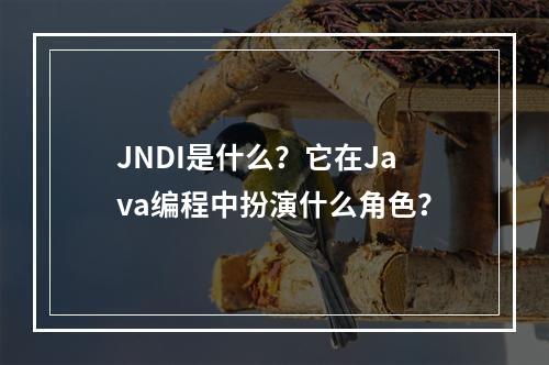 JNDI是什么?它在Java编程中扮演什么角色?