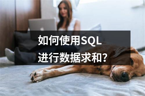 如何使用SQL进行数据求和?