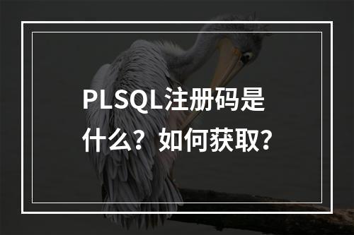 PLSQL注册码是什么?如何获取?