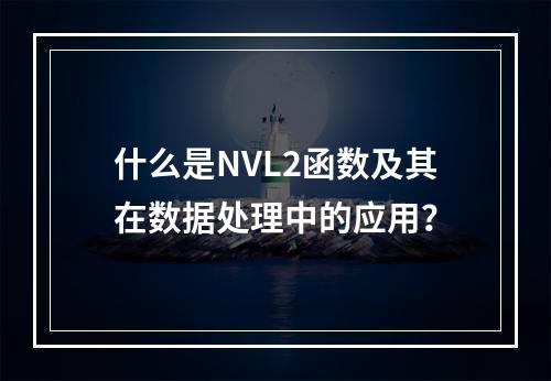 什么是NVL2函数及其在数据处理中的应用?