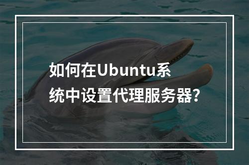 如何在Ubuntu系统中设置代理服务器?
