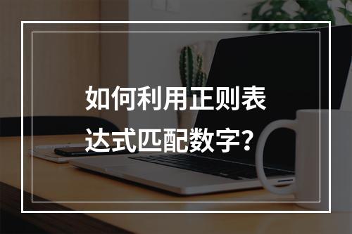 如何利用正则表达式匹配数字?