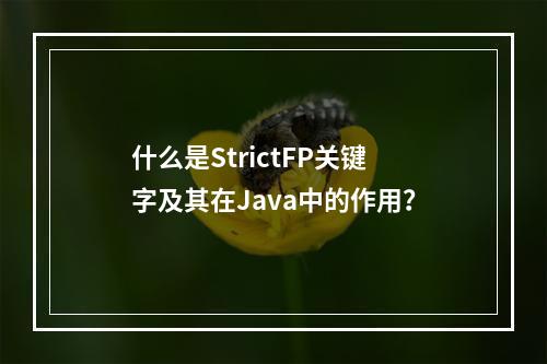 什么是StrictFP关键字及其在Java中的作用?