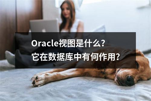 Oracle视图是什么?它在数据库中有何作用?