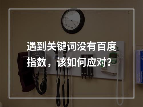 遇到关键词没有百度指数,该如何应对?