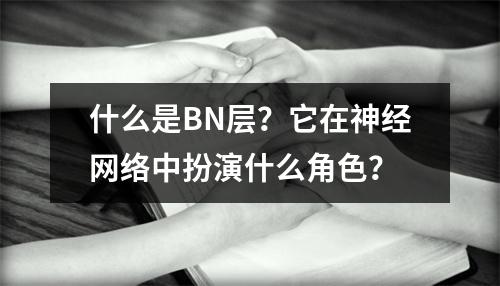 什么是BN层?它在神经网络中扮演什么角色?