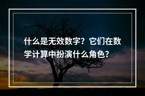 什么是无效数字?它们在数学计算中扮演什么角色?