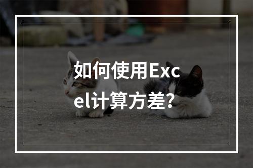 如何使用Excel计算方差?
