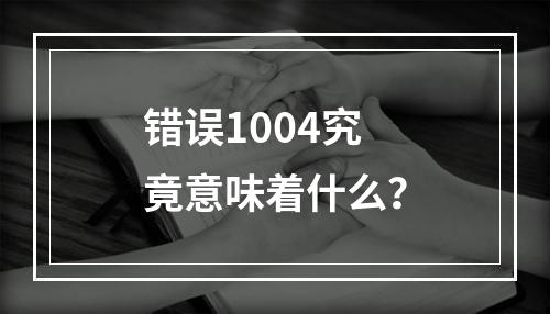 错误1004究竟意味着什么?