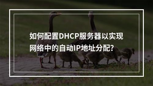 如何配置DHCP服务器以实现网络中的自动IP地址分配?