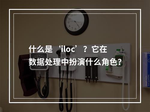 什么是‘iloc’?它在数据处理中扮演什么角色?