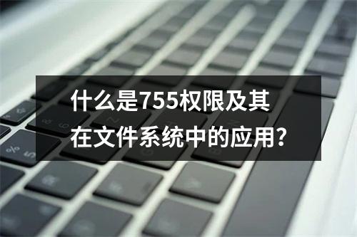 什么是755权限及其在文件系统中的应用?