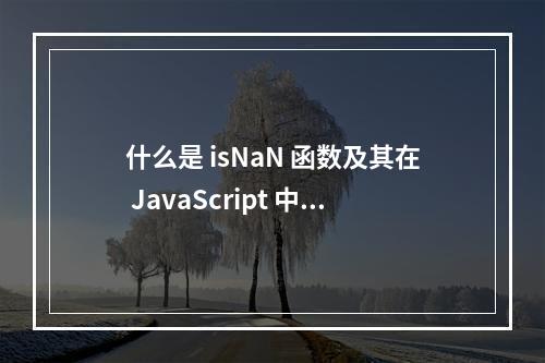 什么是 isNaN 函数及其在 JavaScript 中的作用?