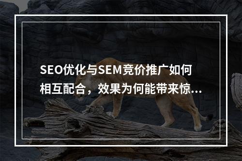 SEO优化与SEM竞价推广如何相互配合,效果为何能带来惊喜?