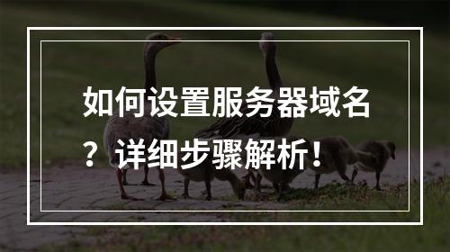 如何设置服务器域名?详细步骤解析!