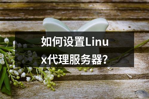 如何设置Linux代理服务器?