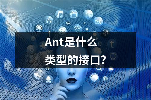 Ant是什么类型的接口?