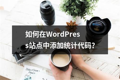 如何在WordPress站点中添加统计代码?