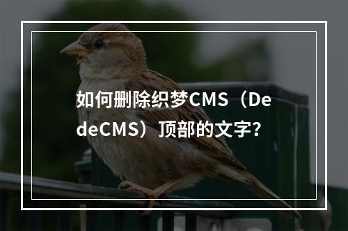 如何删除织梦CMS(DedeCMS)顶部的文字?