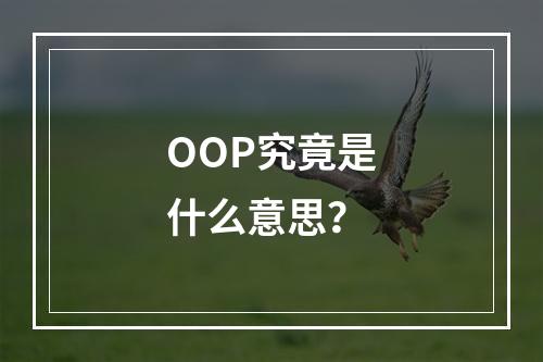 OOP究竟是什么意思?