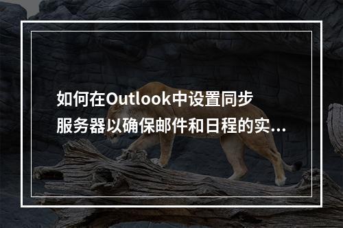 如何在Outlook中设置同步服务器以确保邮件和日程的实时更新?
