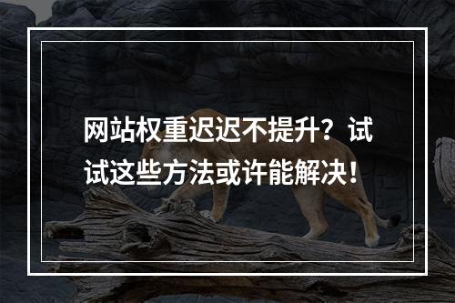 网站权重迟迟不提升?试试这些方法或许能解决!