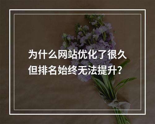 为什么网站优化了很久但排名始终无法提升?